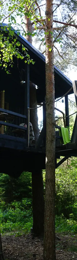 Übernachtung im Baumhaus